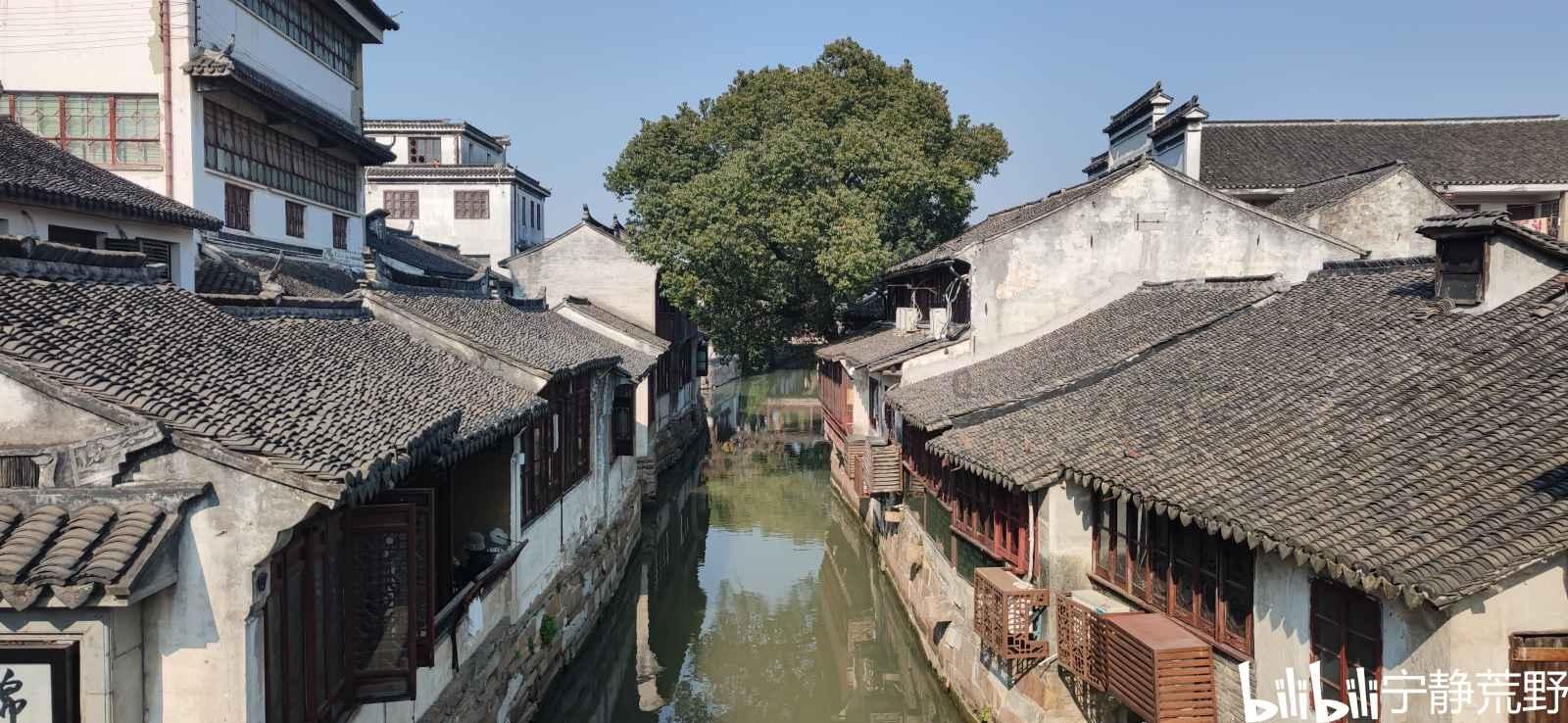 失踪的书籍